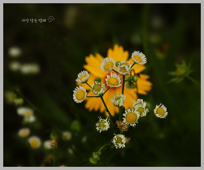 CE3A0825-2resize.jpg : 정모 숙제입니다