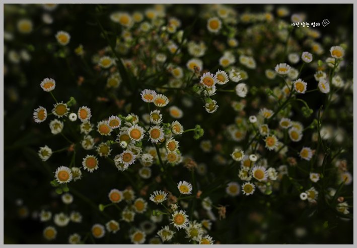 CE3A08430=-1resize.jpg : 정모 숙제입니다