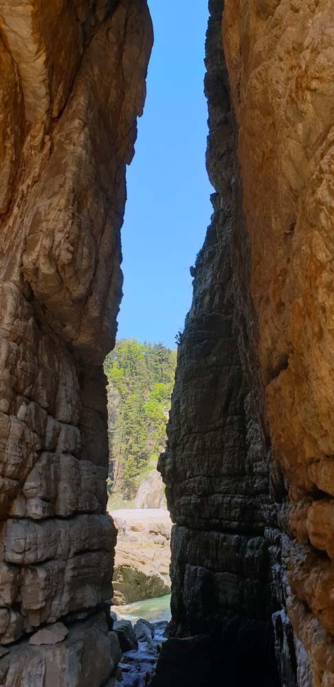 20200512_135737.jpg : 자연으로 빛은 사이