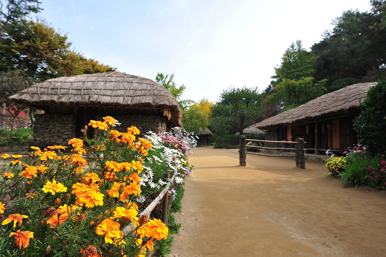 _DSC0179_00001_02.jpg : 2019 민속촌 가을풍경