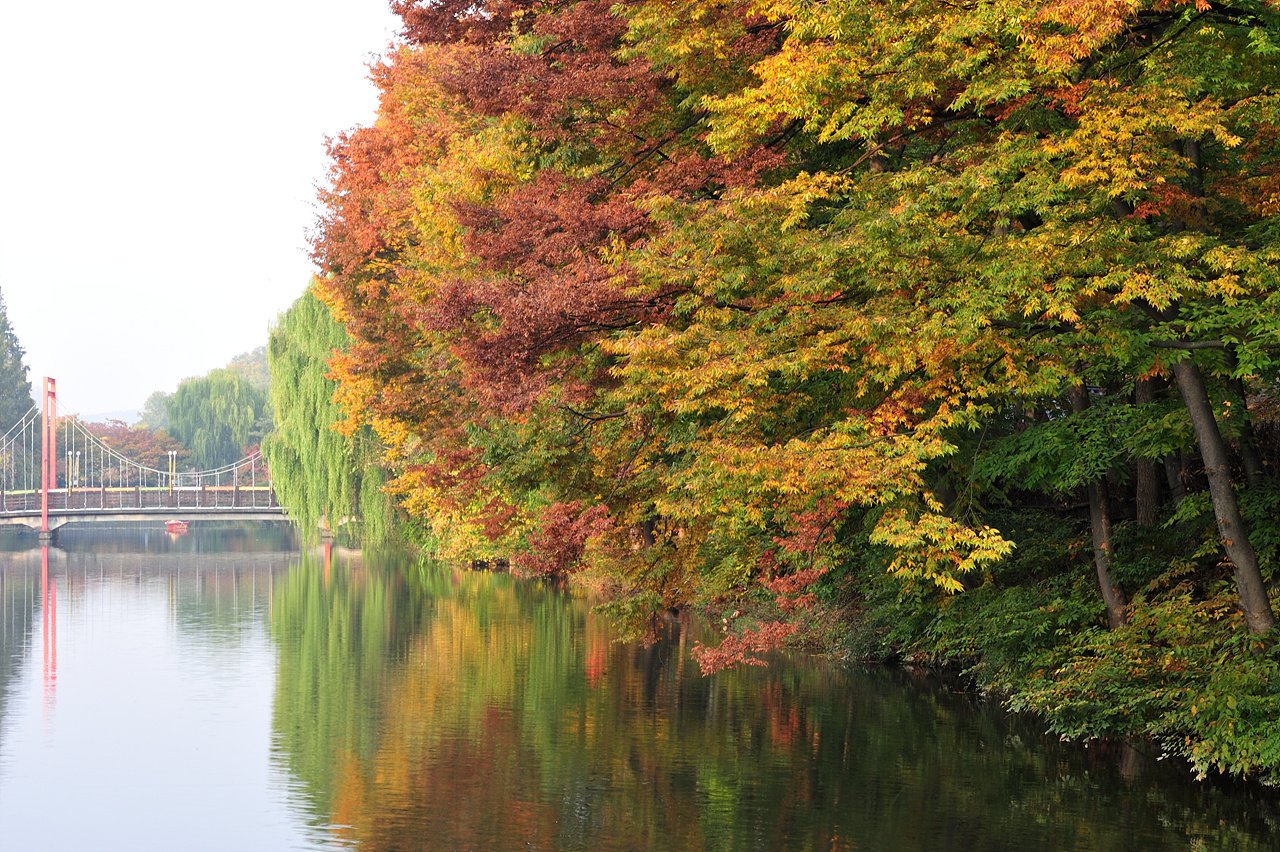 _DSC0026_00001.jpg : 2019 민속촌 가을풍경