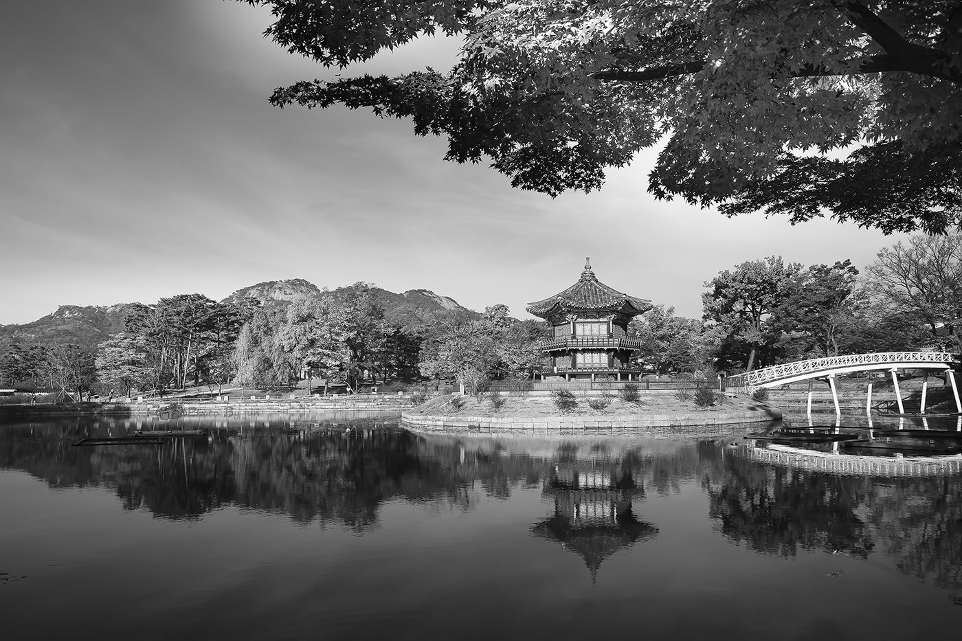 D55A2570-2.jpg : 향원정