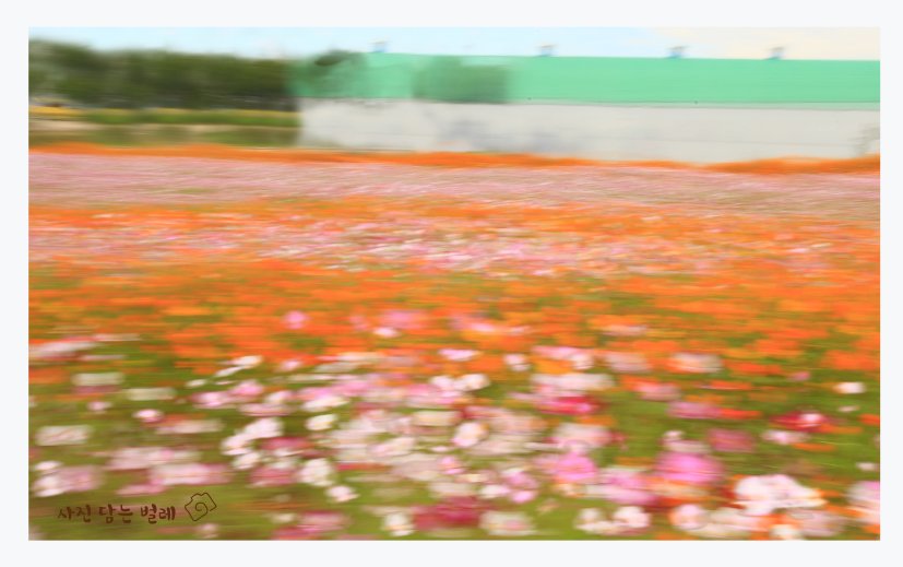 CE3A8932 resize.jpg : 당수동