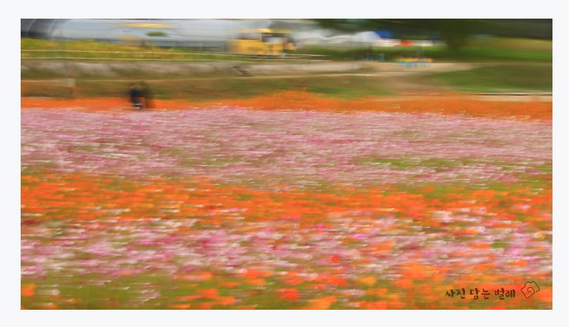 CE3A8927 resize.jpg : 당수동