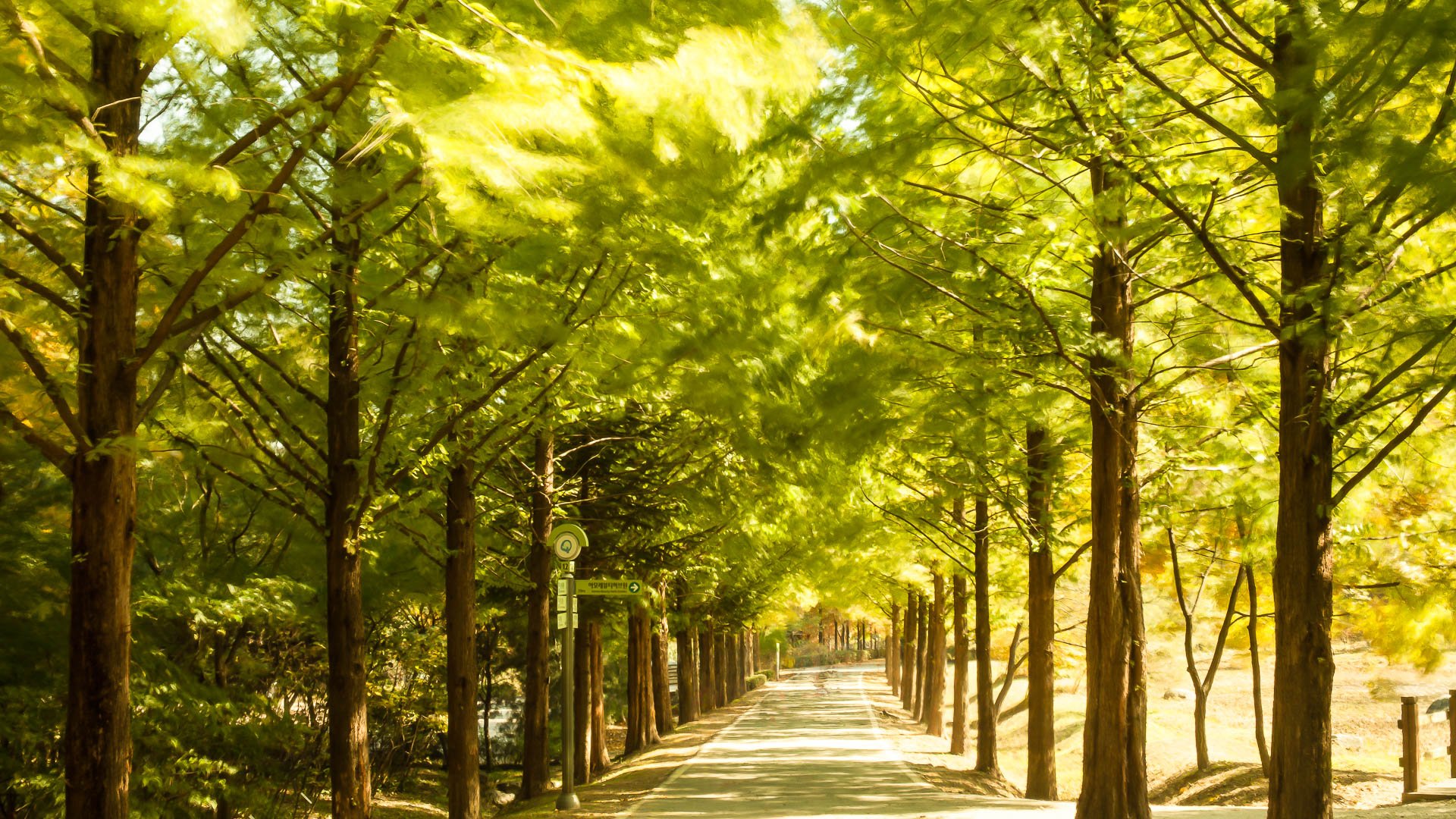 171022물향기 가을40-편집.jpg : 물향기 수목원의 가을