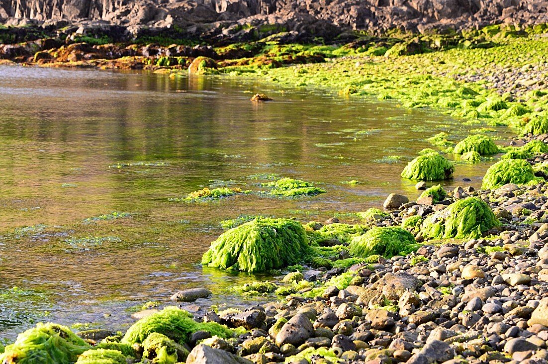 BandPhoto_9297413716.jpg : 추자도