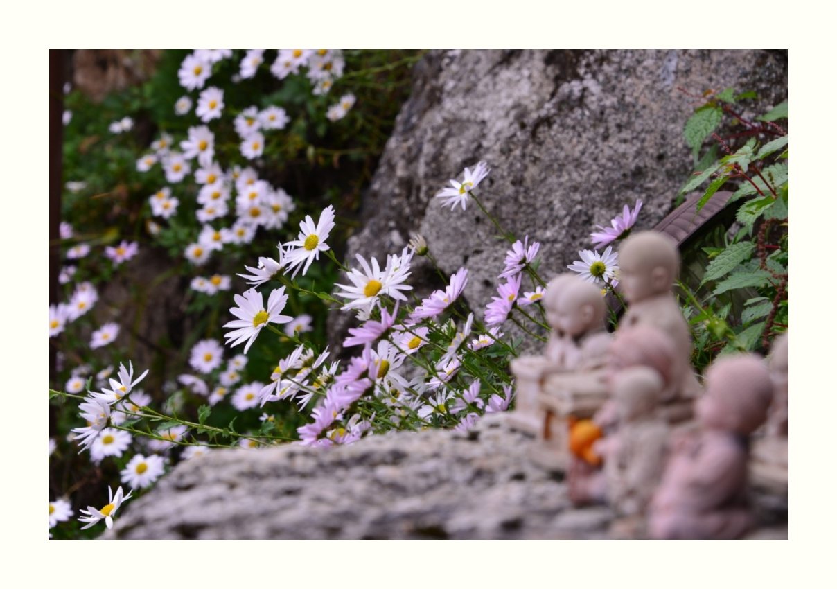 IMG_20181010_064102.jpg : 산사에서