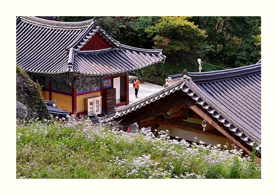 IMG_20181010_062521.jpg : 산사에서