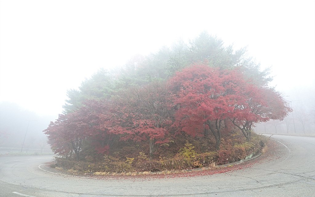 _DSC0894_00001.jpg : 에버랜드 가는길