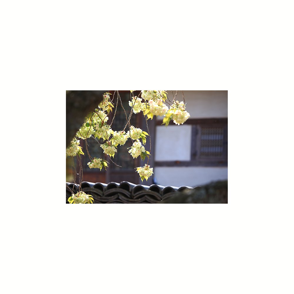 IMG_1061-07.jpg : 사찰에서 풍류를 즐기다..