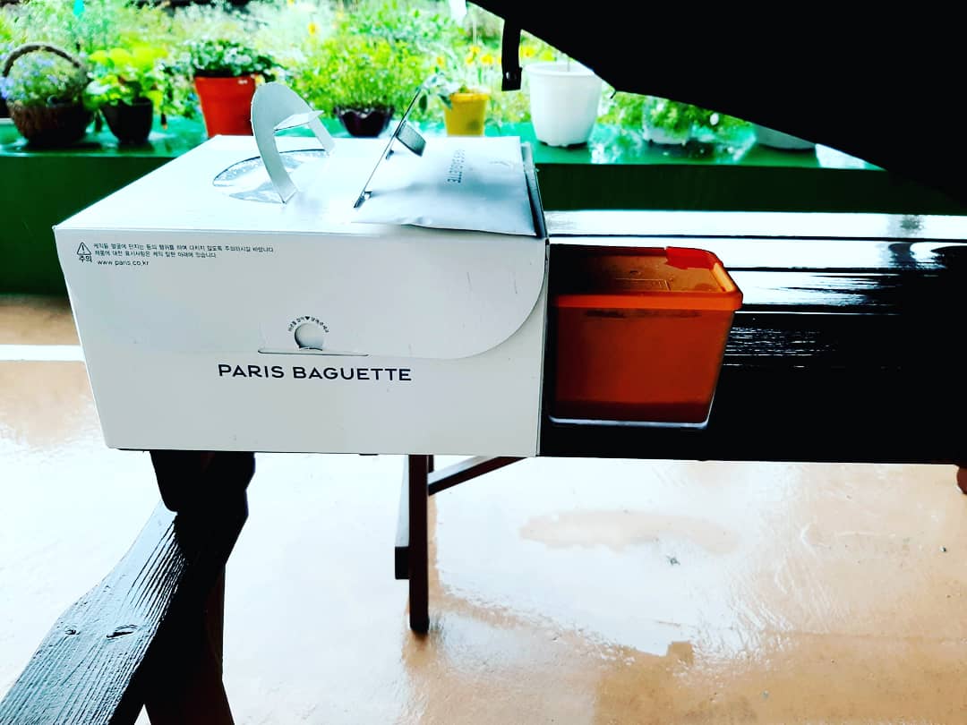 IMG_20200723_190625_432.jpg : 엄마  생신ᆢ