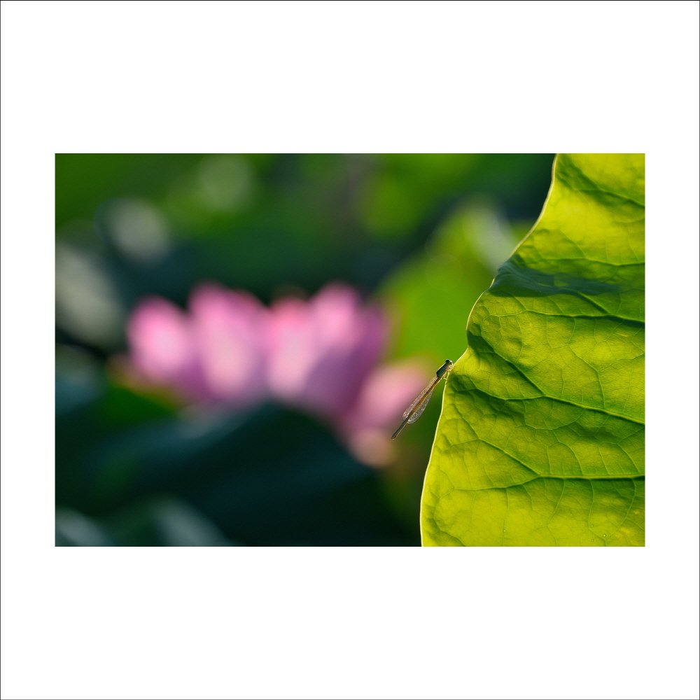 크기변환_DSC_0682.jpg : 7월정모 숙제