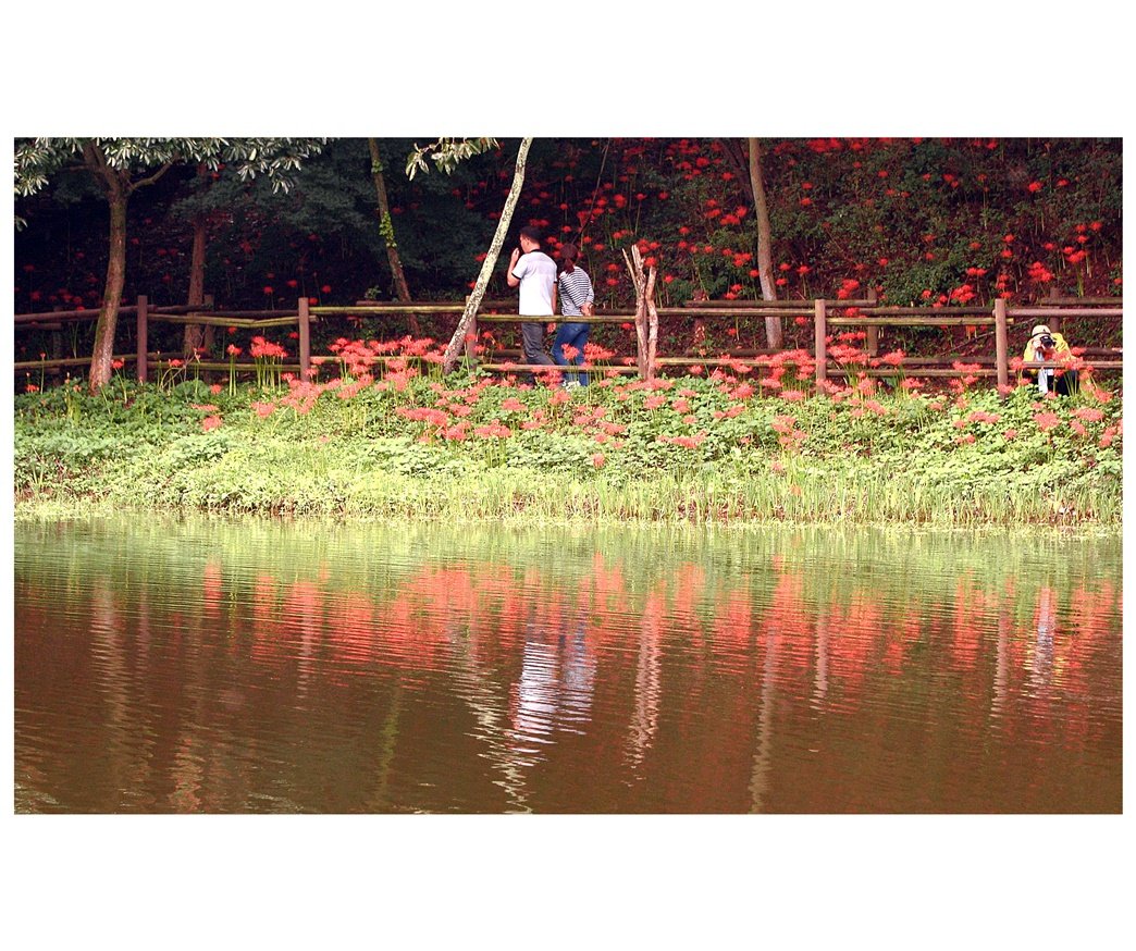 DSC_6475.JPG : 예쁘게 봐주세요~