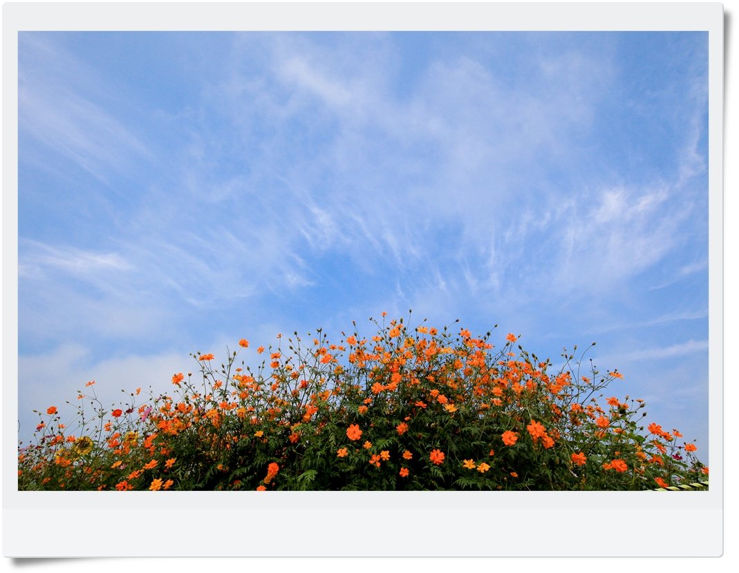 IMG_4638.jpg : 가깝고도 먼 당수동 다녀왔습니다.