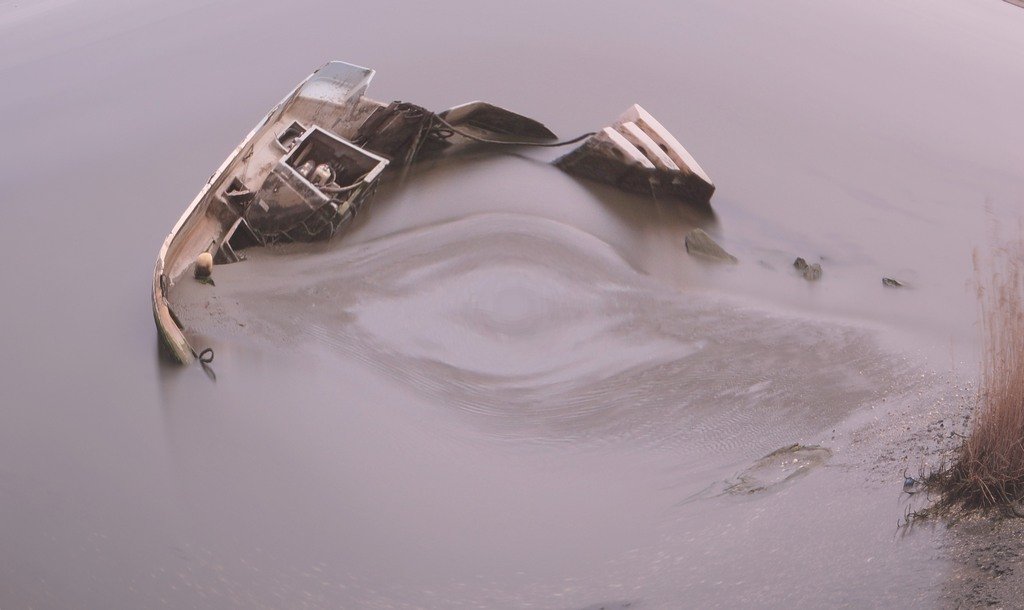 049A0152.JPG : 페선