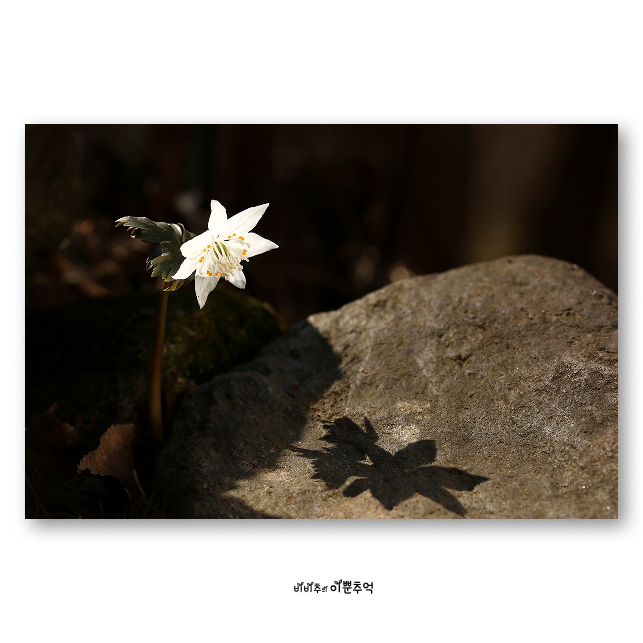 040.jpg : 널 그리워하며.....