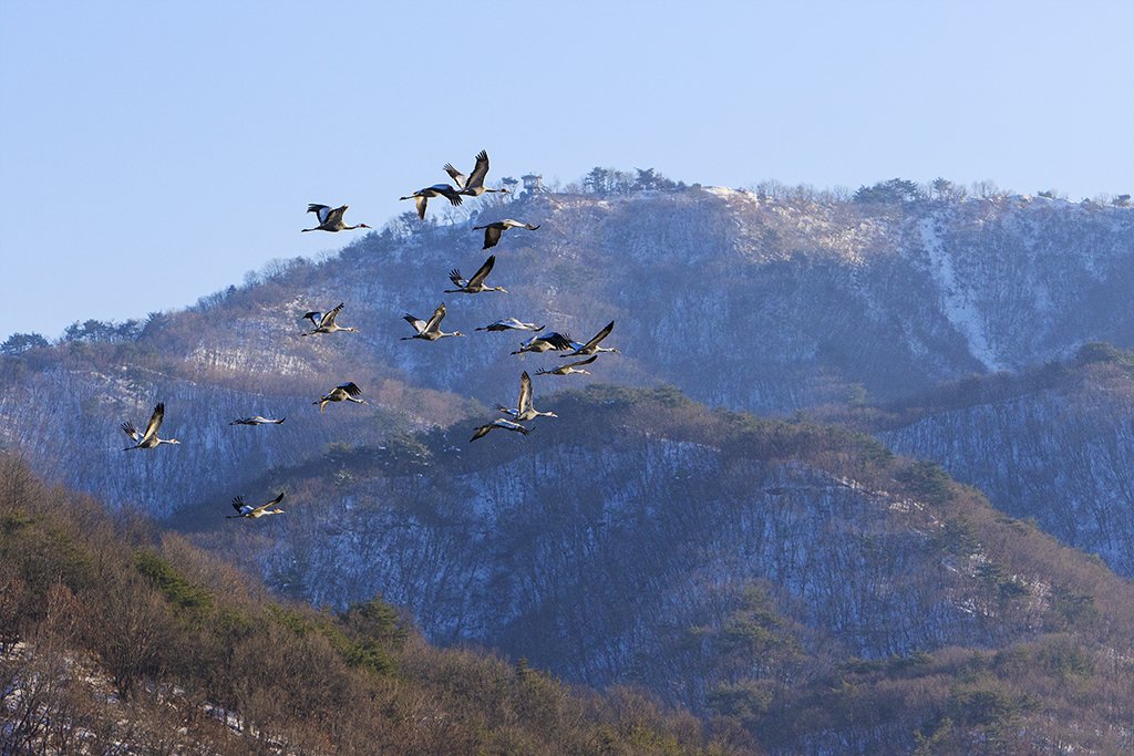 _D2A2893.jpg : 철원에서~