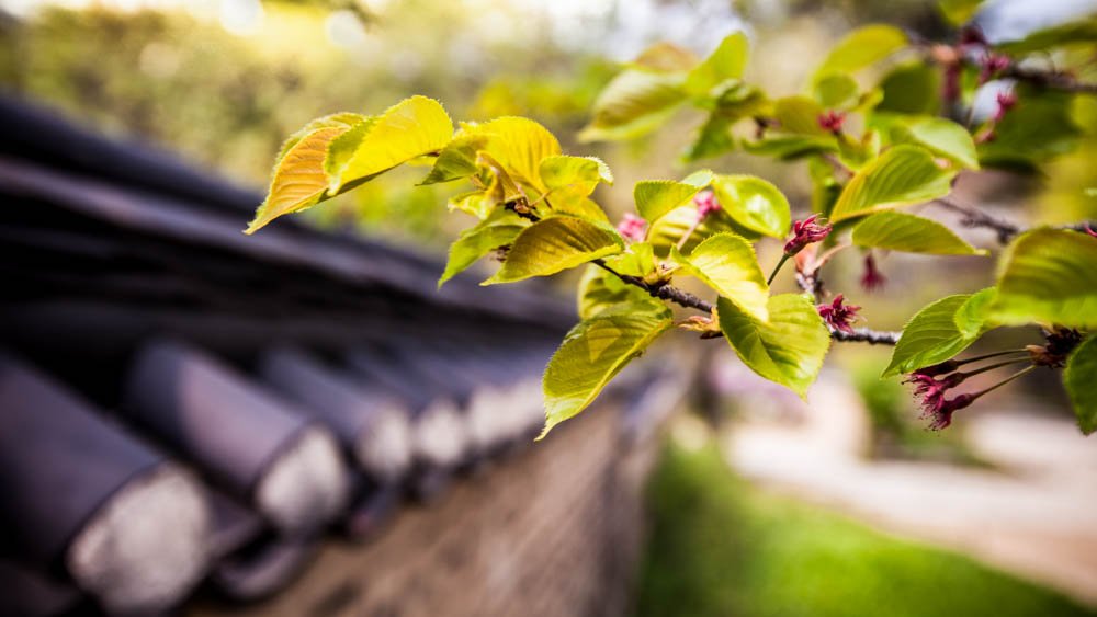 1604_희원_0068.jpg : 봄날