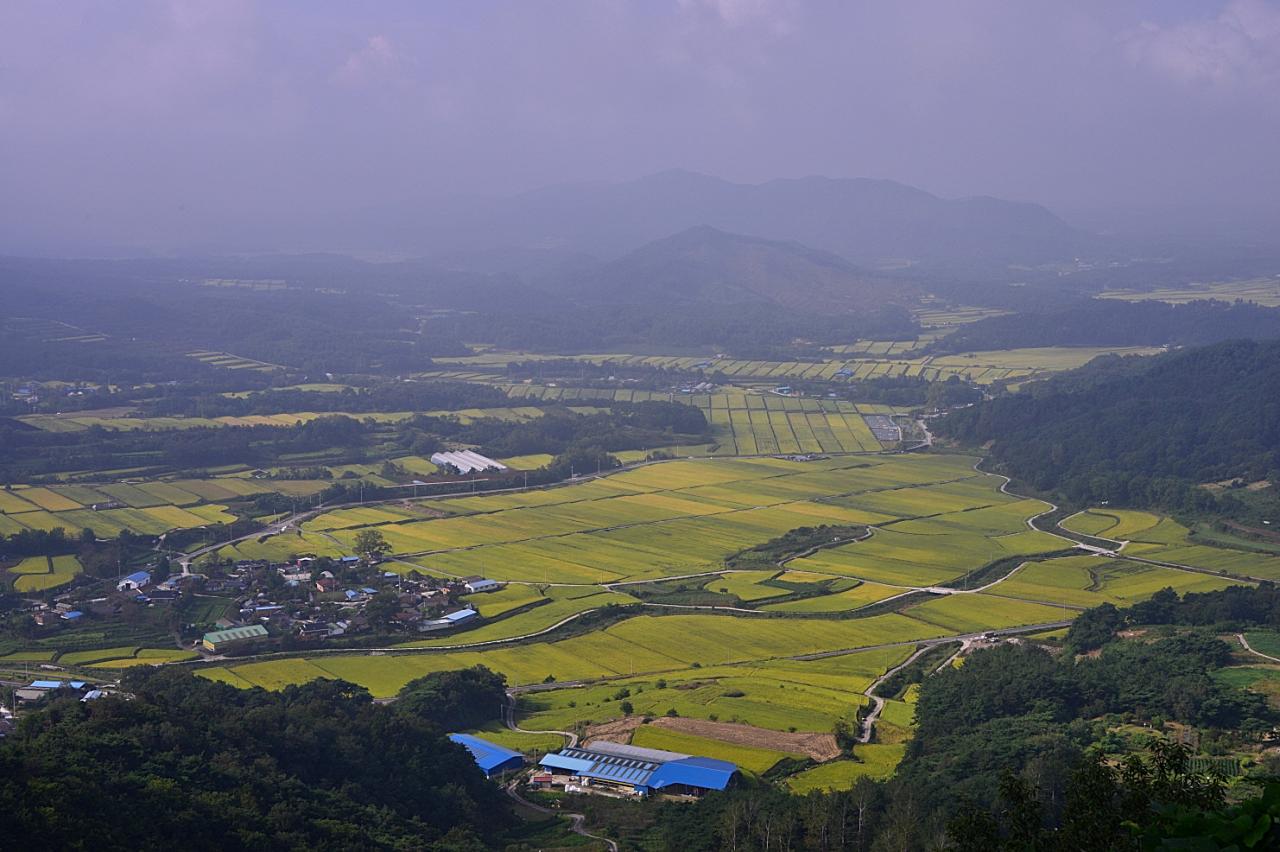 BandPhoto_7060434012.jpg : 곡식이 익어가는 벌판