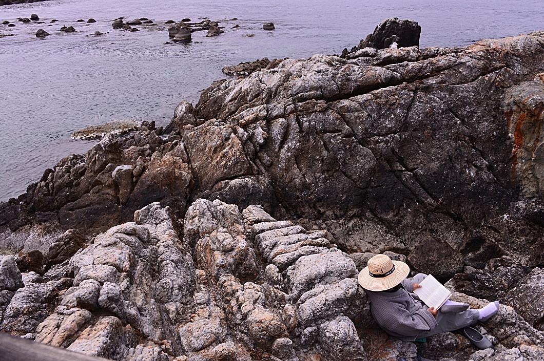 BandPhoto_8670245352.jpg : 삼척 유채밭 & 장호항 BandPhoto_8670245352.jpg : 삼척 유채밭 & 장호항