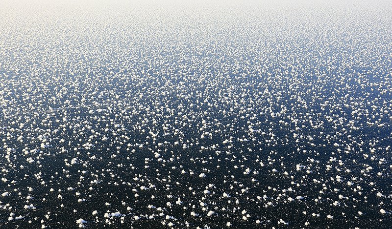 0T6A8631-눈서리-1M.jpg : 눈서리