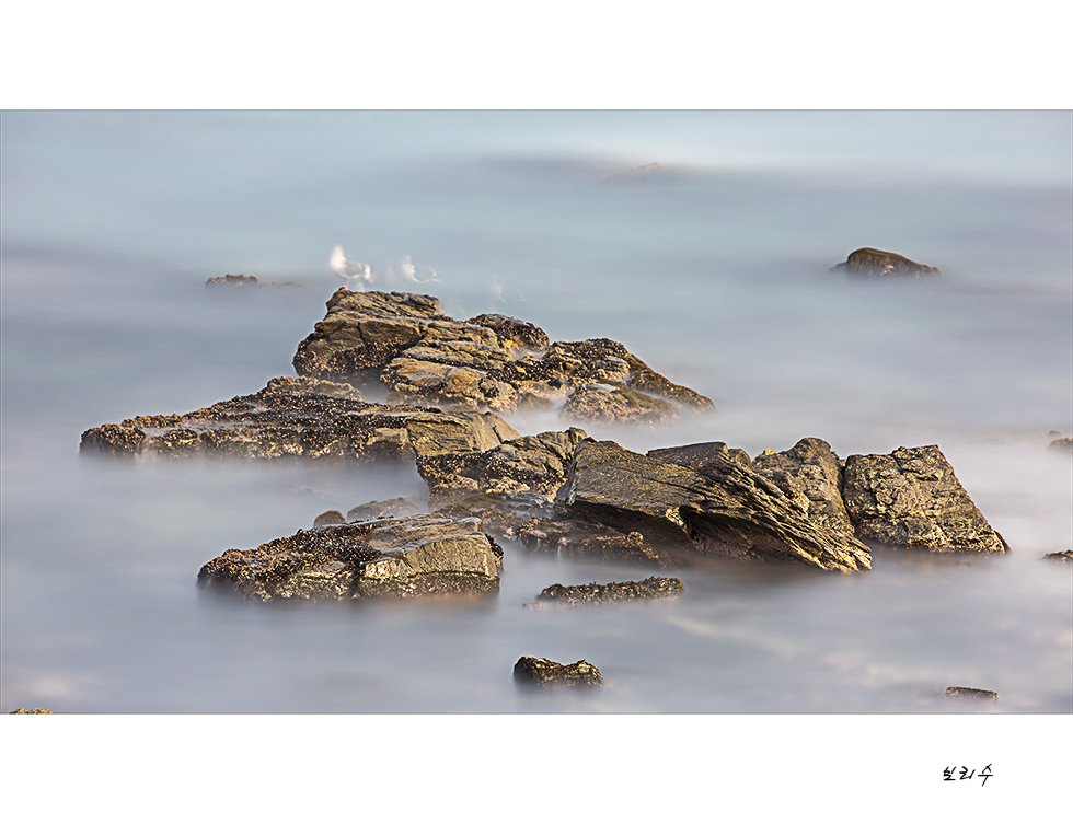 575A4153.jpg : 기다림~~^^