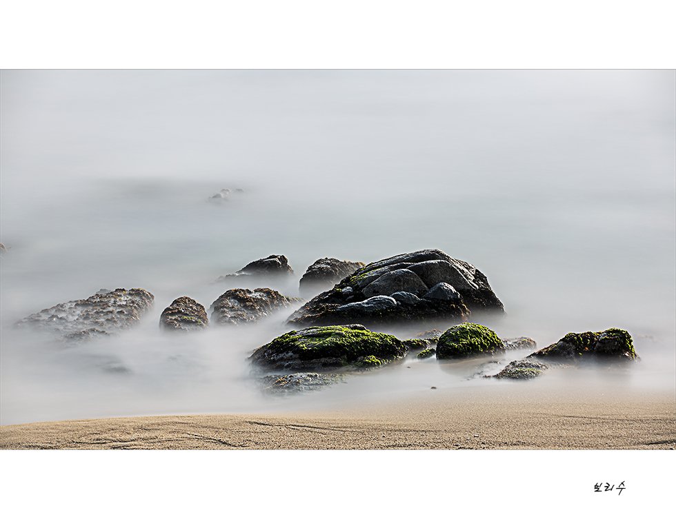 575A4146.jpg : 기다림~~^^