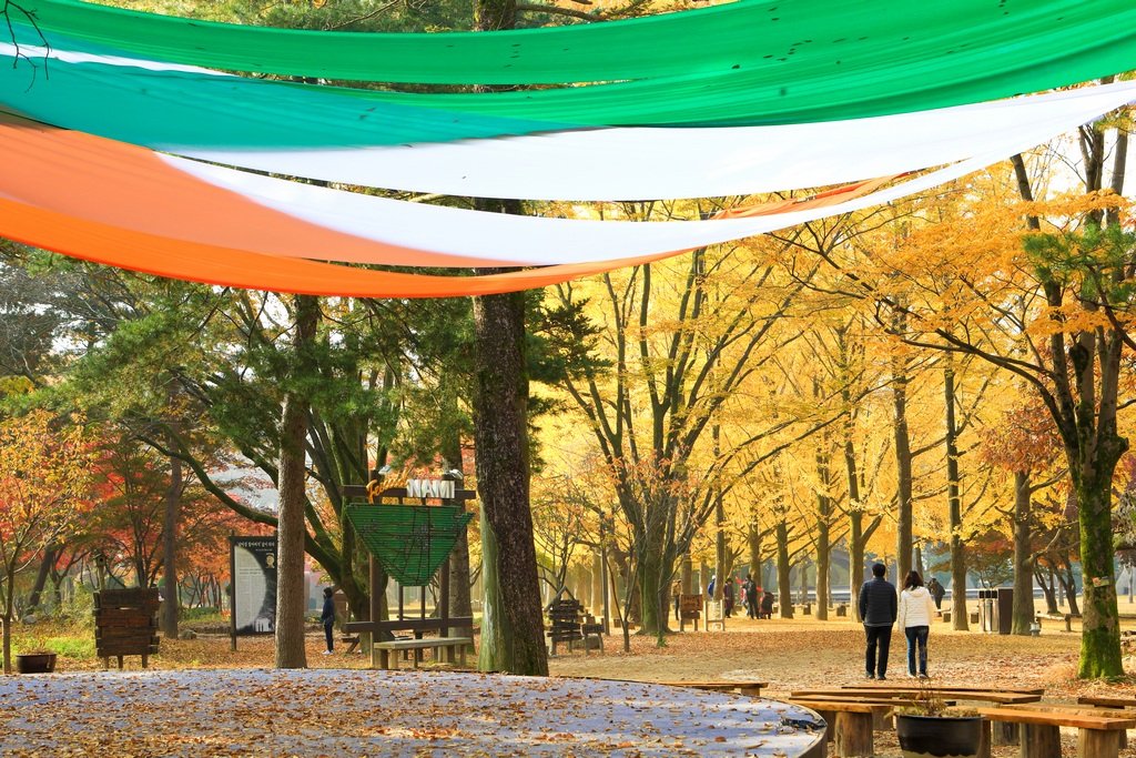 049A0211-20201028.jpg : 가을만추