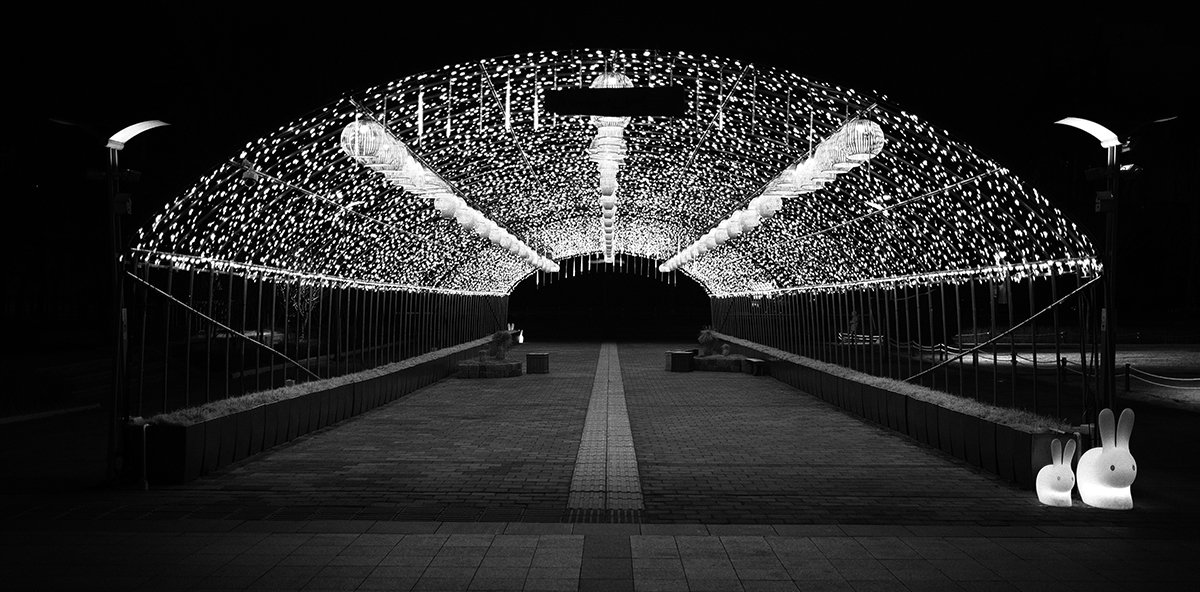 DSCF0294-장안.jpg : 우리동네에서