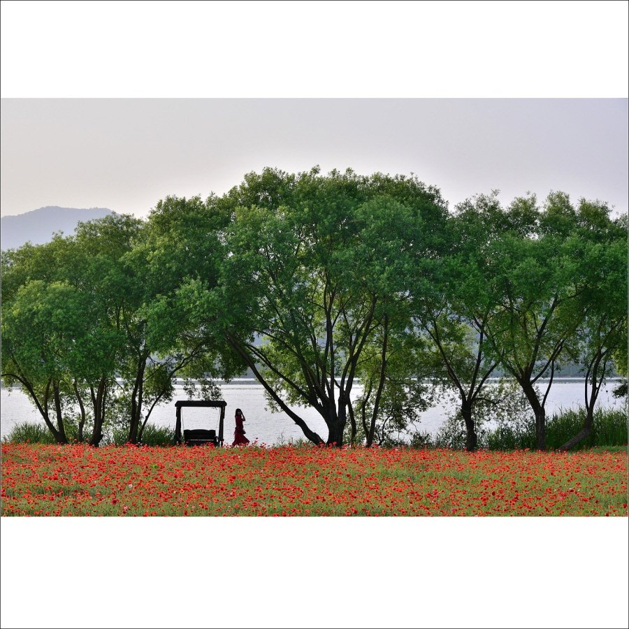 크기변환_DSC_9658.jpg : 물의 정원에서