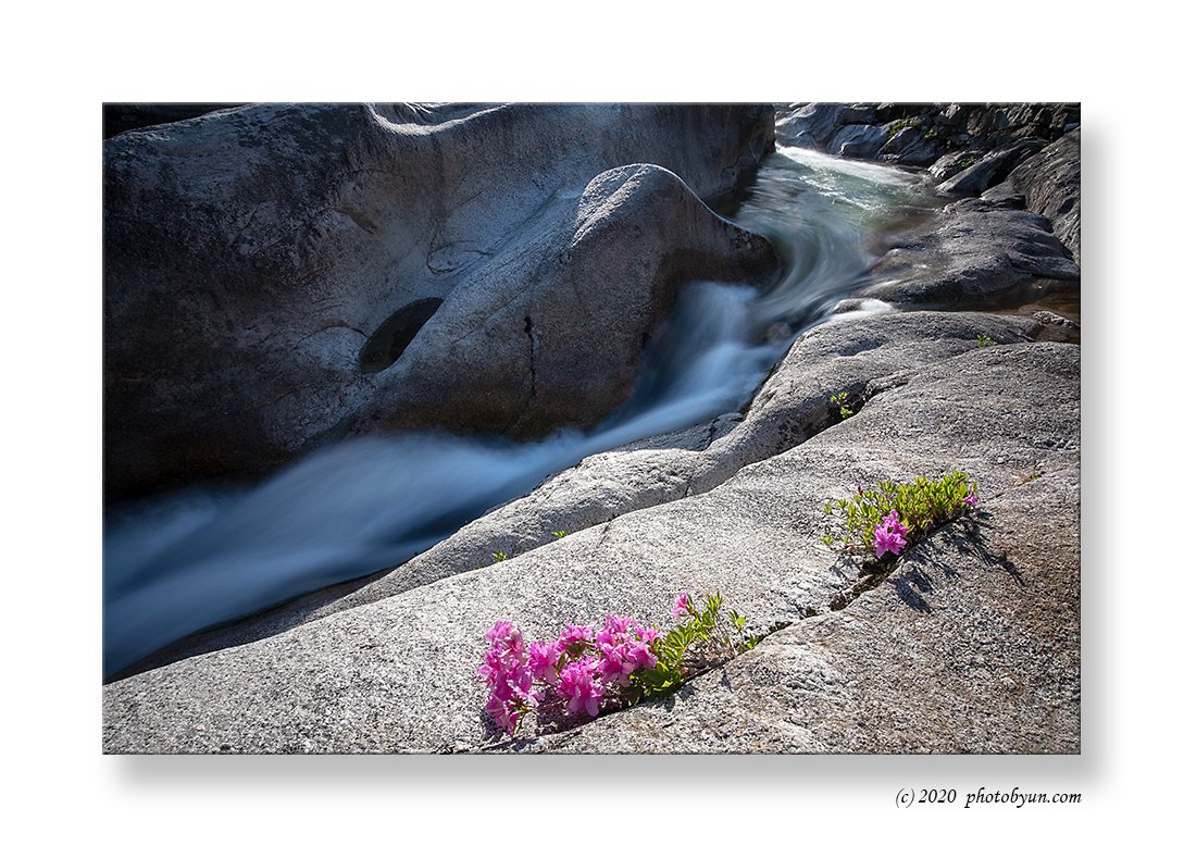 649A5240-편집.jpg : 수달레