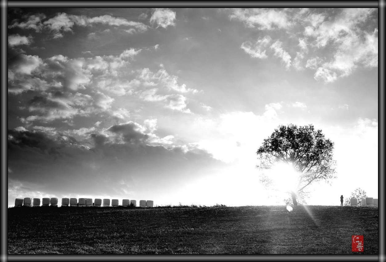 IMG_20171009_082303.jpg : 안성목장