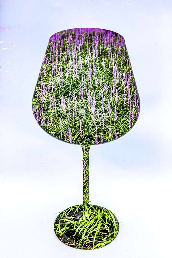 HVss9A0120.jpg : 유리잔속풍경