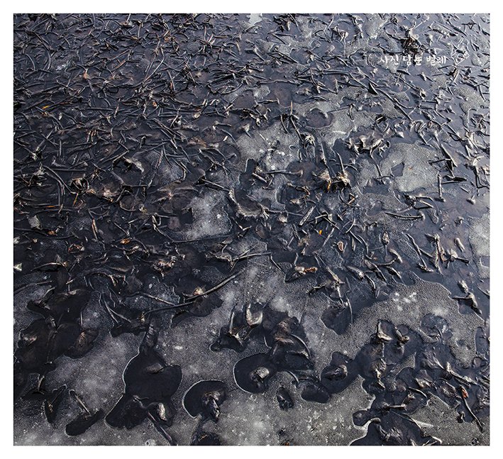 CE3A2630-2jpgresize.jpg : 두려움