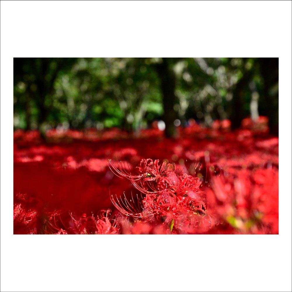 크기변환_DSC_3533.jpg : 지각생