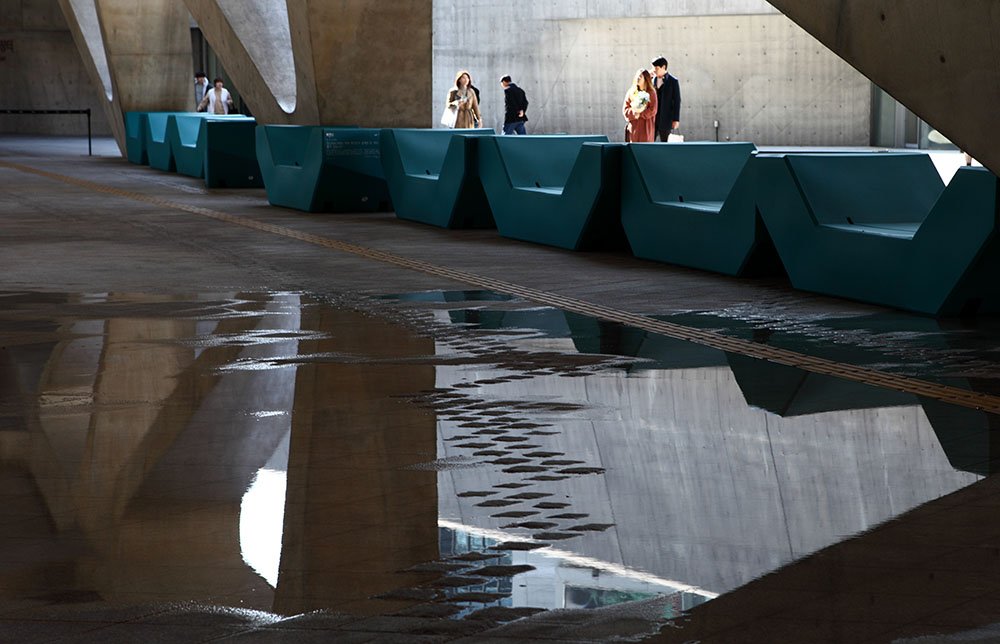 IMG_0450.jpg : DDP 봄맞이 청소