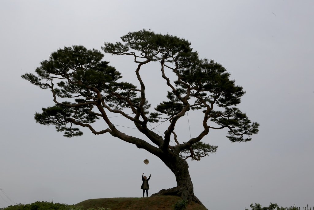 5K5A7363.JPG : 높이 날아라