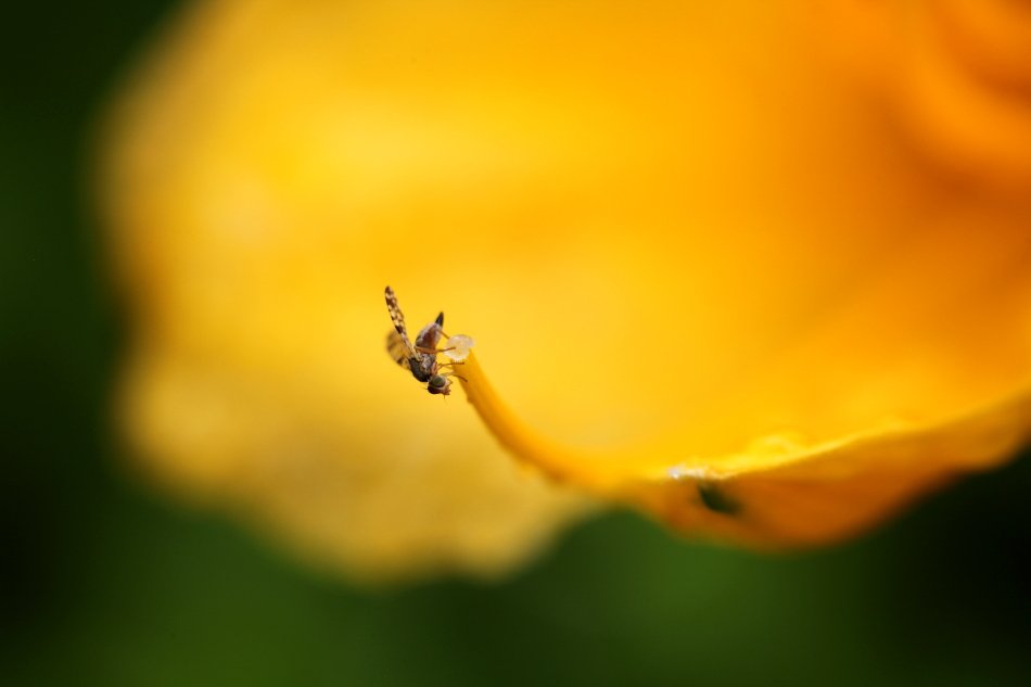 IMG_9040.JPG : 식사중