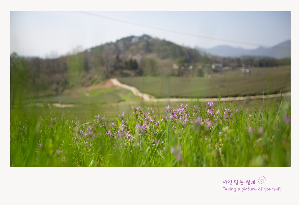 CE3A9822 frame resize.jpg : 정모3