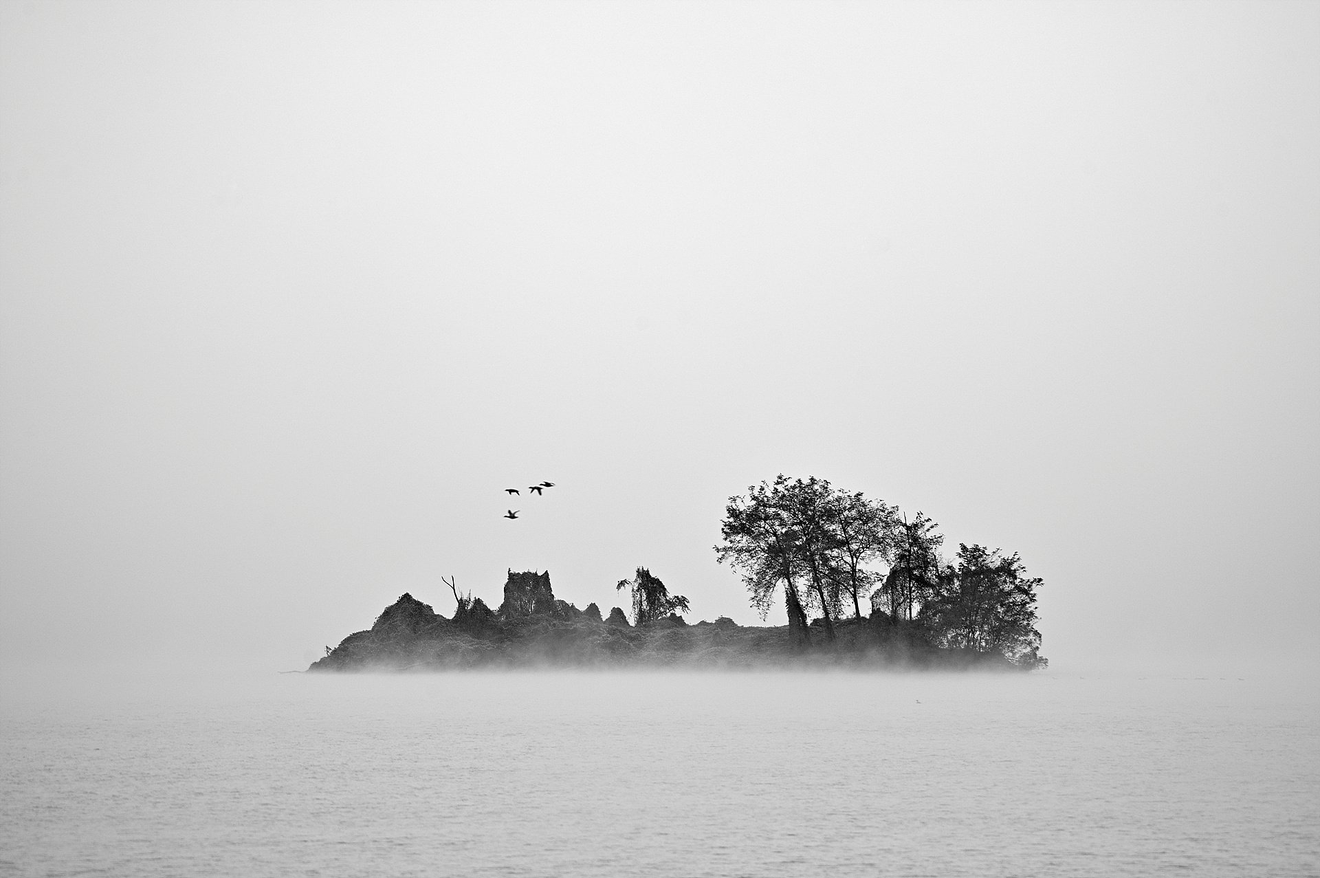 _DSC0576_01.jpg : 두물머리 풍경 _DSC0576_01.jpg : 두물머리 풍경