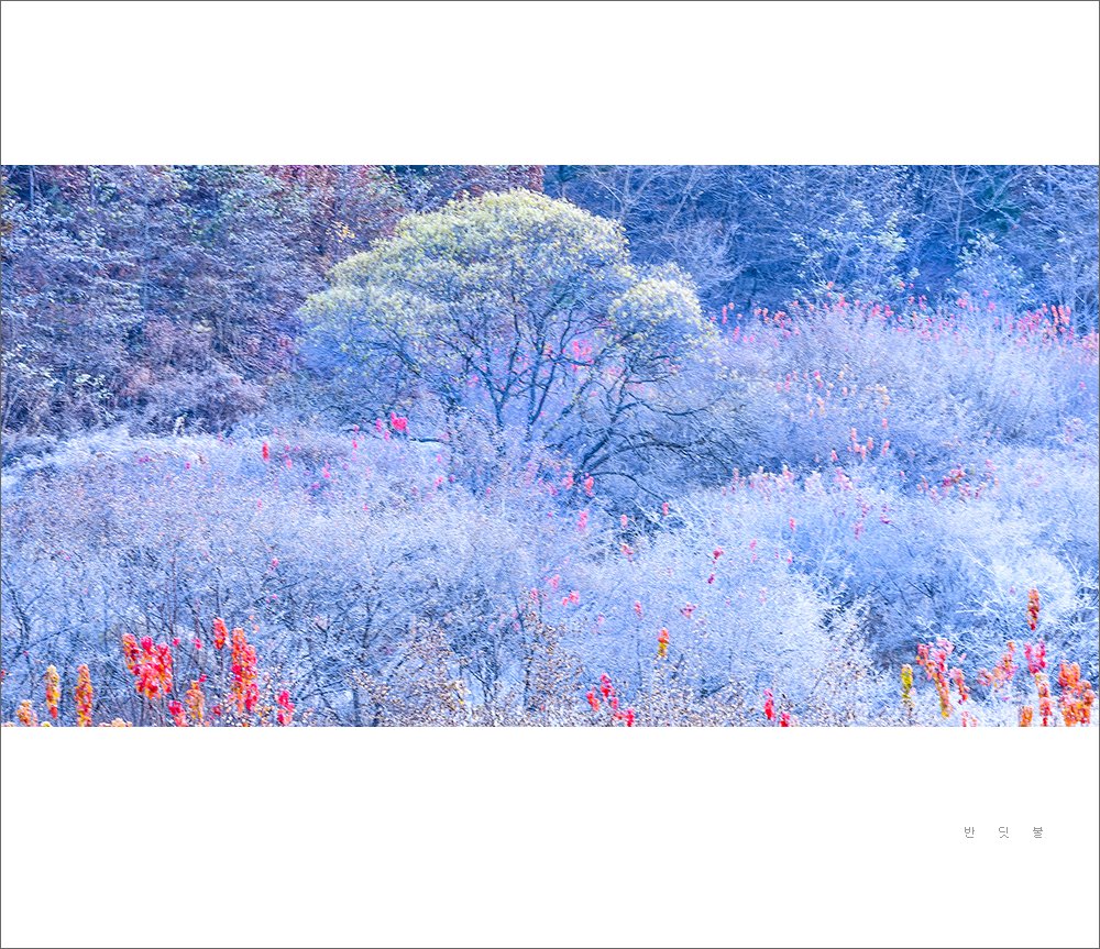 _DSC4854-2.jpg : 비밀의정원