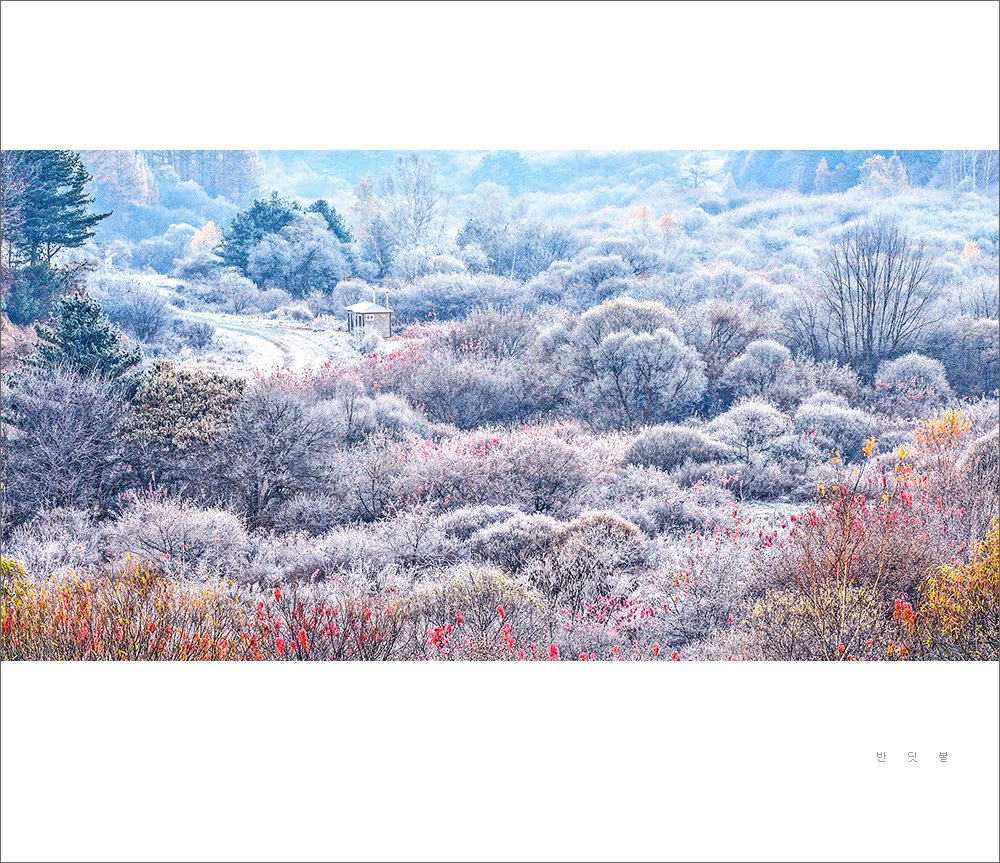 _DSC4783-2.jpg : 비밀의정원