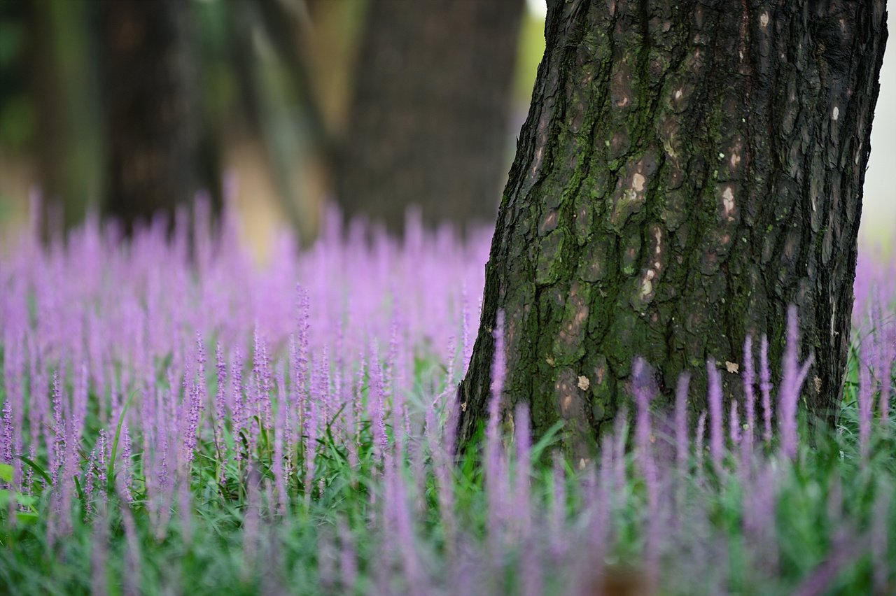 _DSC9657.jpg : 올림픽 공원에서