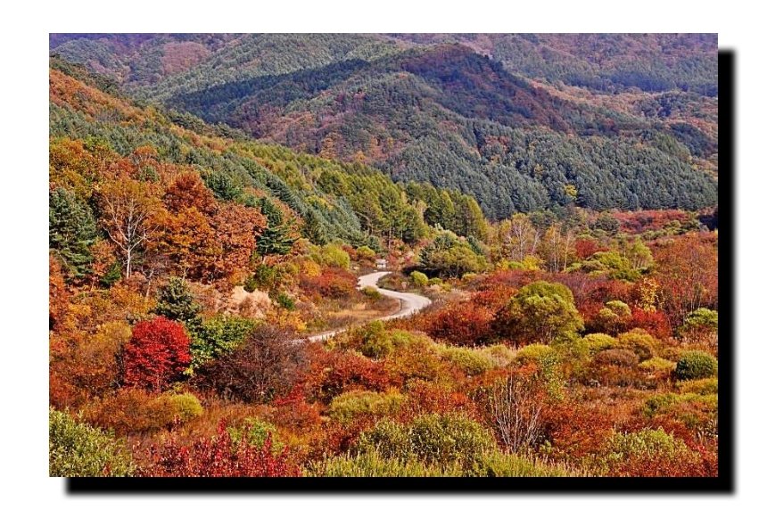 IMG_20171031_081313.jpg : 쨍하게 오픈된 시크릿~ IMG_20171031_081313.jpg : 쨍하게 오픈된 시크릿~