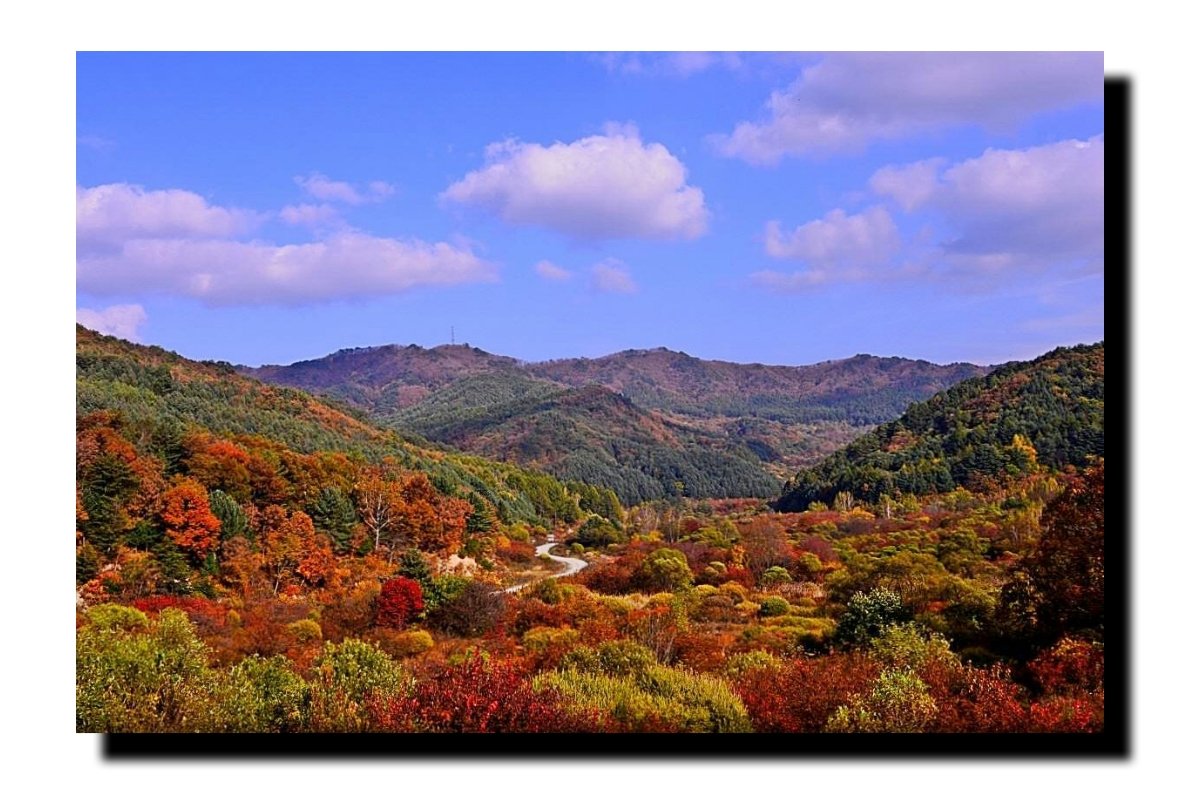 IMG_20171031_081353.jpg : 쨍하게 오픈된 시크릿~ IMG_20171031_081353.jpg : 쨍하게 오픈된 시크릿~