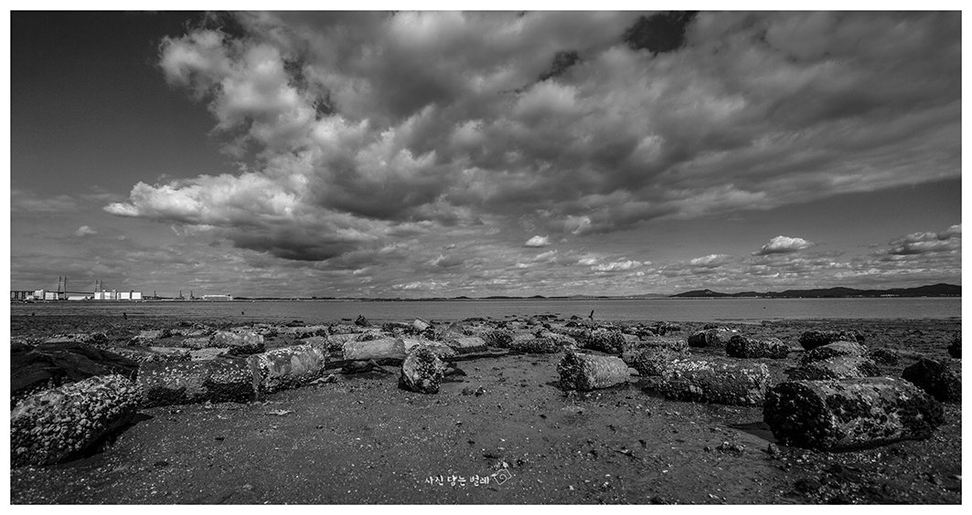 CE3A4528-1bwresie.jpg : 세월의 아쉬움.