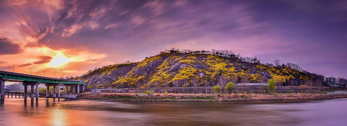 Untitled_Panorama1 전체 보정.jpg : 응봉산 개나리동산_파노라마