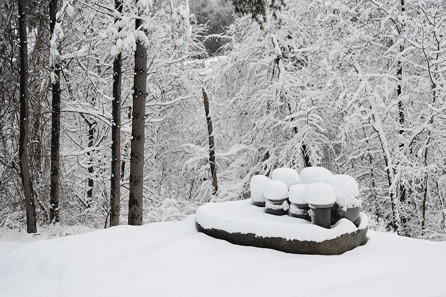 DSC_2238.JPG : 대설