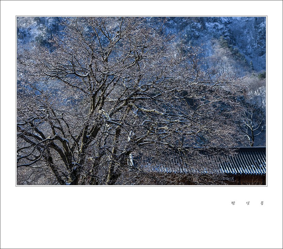 _DSC6697_45-1.jpg : 신흥사에서