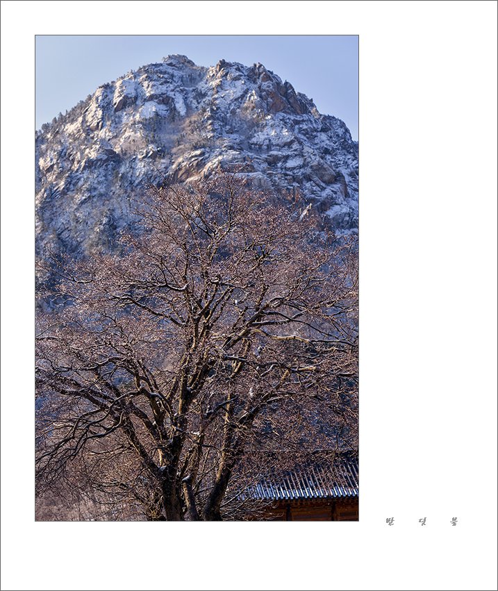 _DSC6700_46.jpg : 신흥사에서